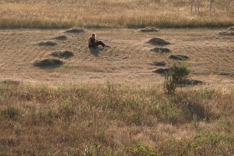 Dance des 5 rythmes nature humaine nature sauvage 13