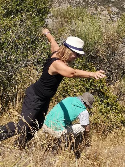 Dance des 5 rythmes nature humaine nature sauvage 8