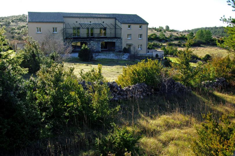 Dance des 5 rythmes nature humaine nature sauvage 4