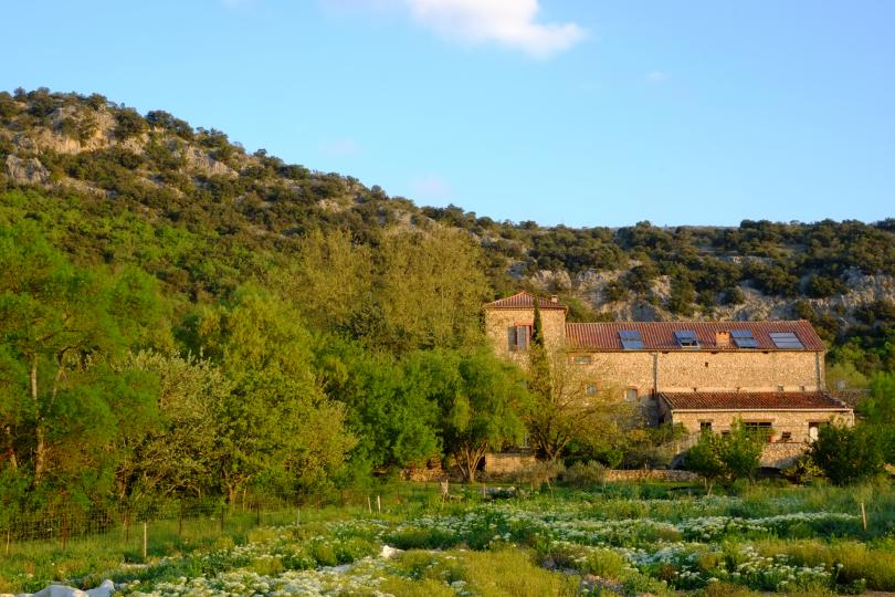 danse des 5 rythmes il était une fois 6